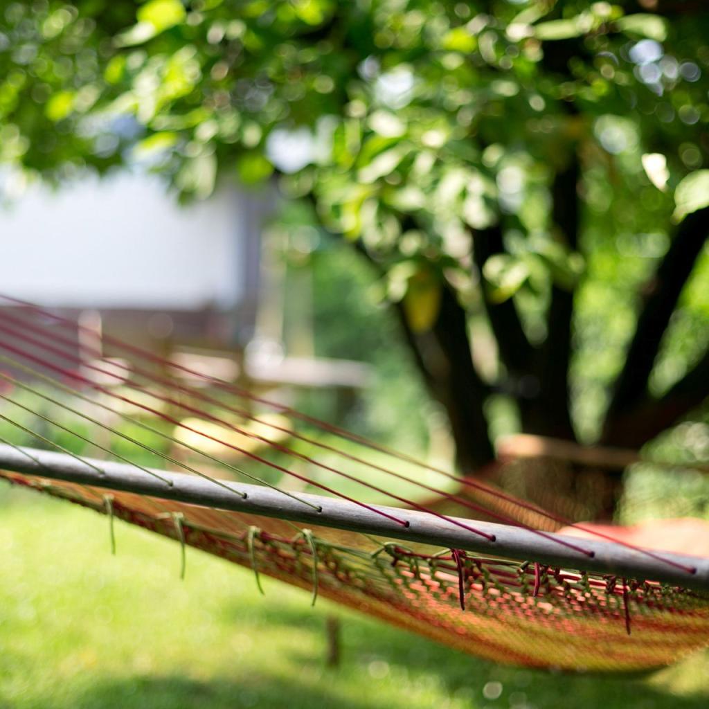 Gartenimpression mit Hängematte