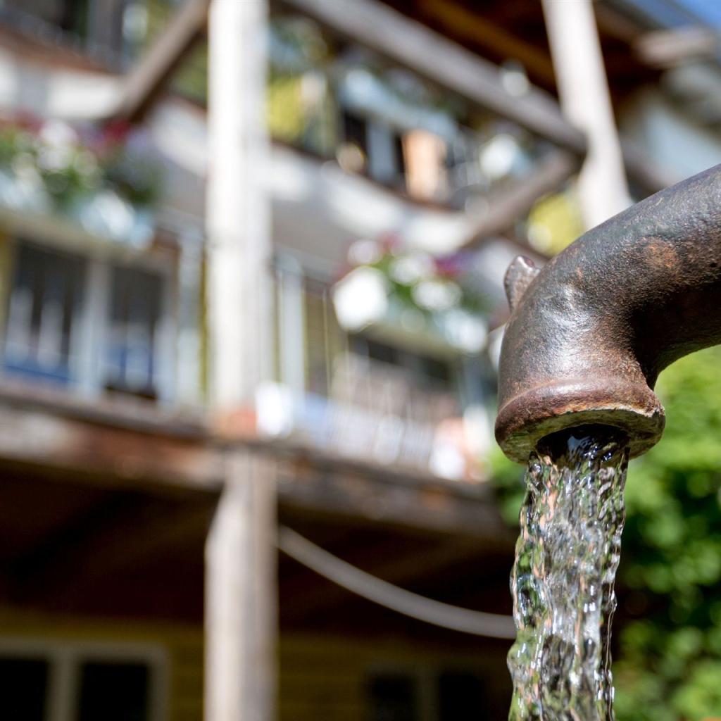 Gartenimpression Wasserpumpe